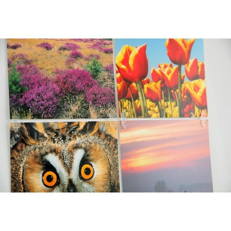 STAS Picture Hits aus transparentem Material, 20 Klemmen pro Satz.